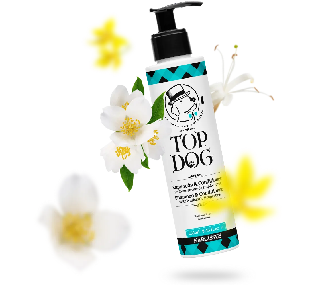 Top Dog σαμπουάν κατοικιδίων Narcissus 250ml